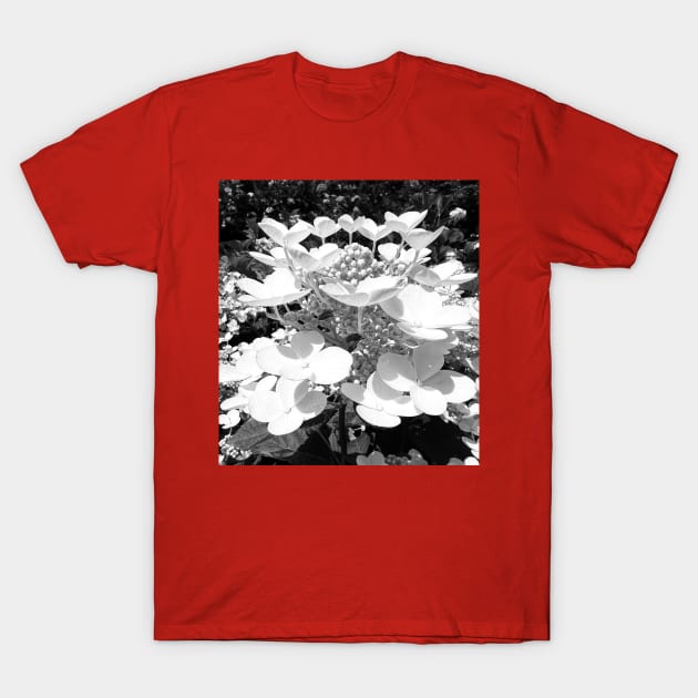 Hydrangea Reaching for the Sky T-Shirt by Photomersion